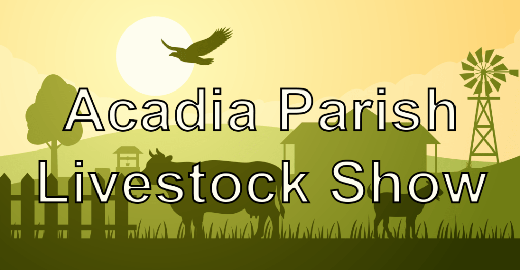 acadia-parish-livestock-show