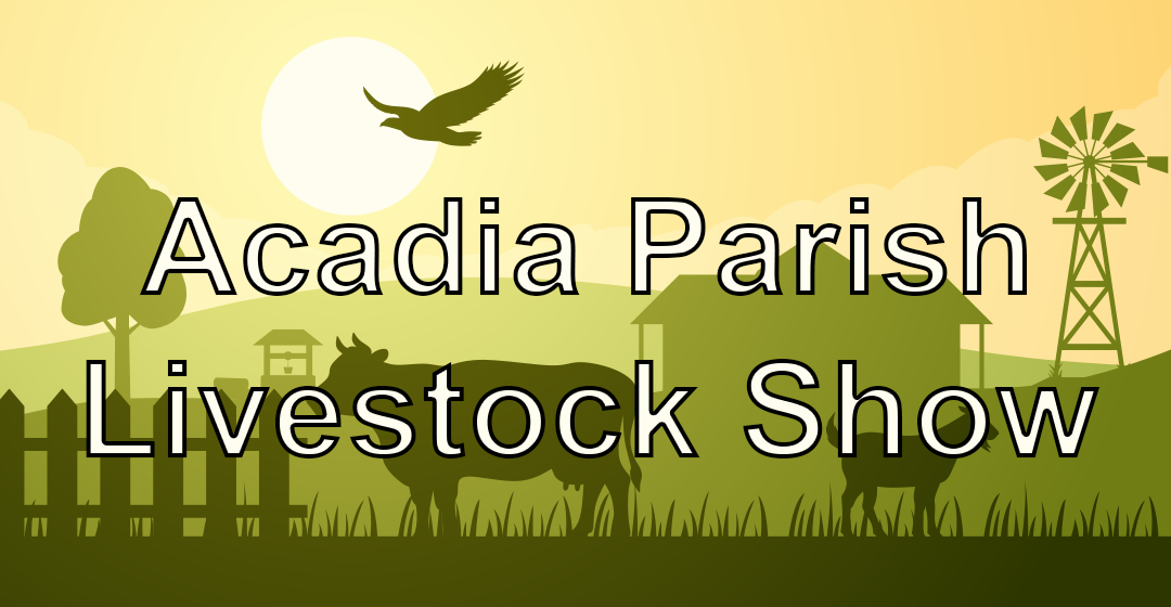 acadia-parish-livestock-show