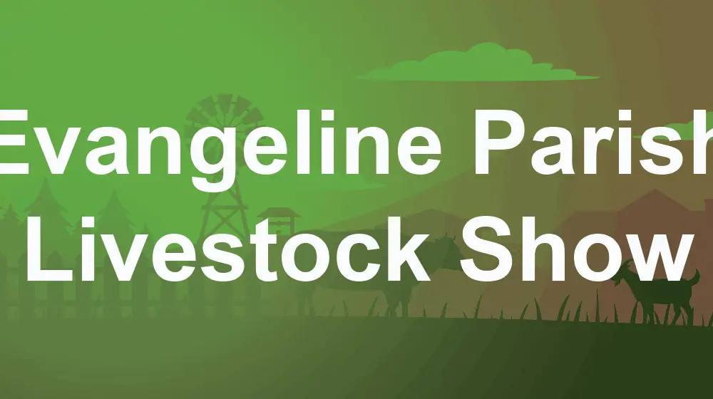 evangeline-parish-livestock-show