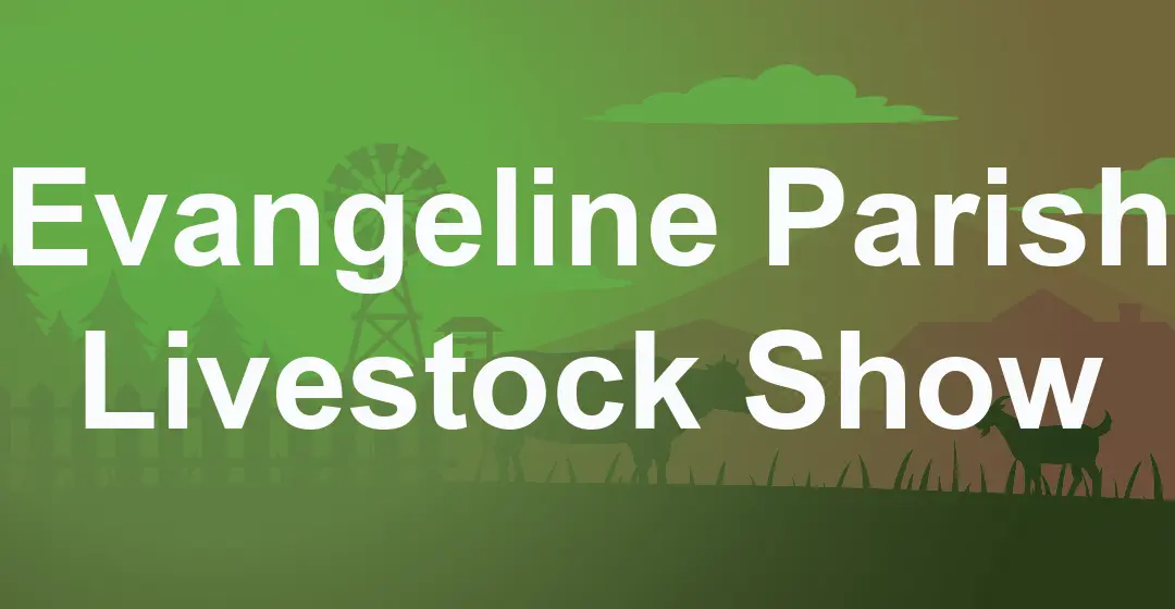 evangeline-parish-livestock-show