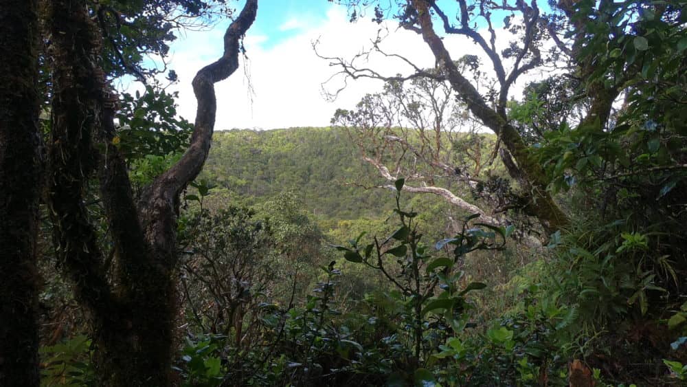 dlnr-jpeg-2