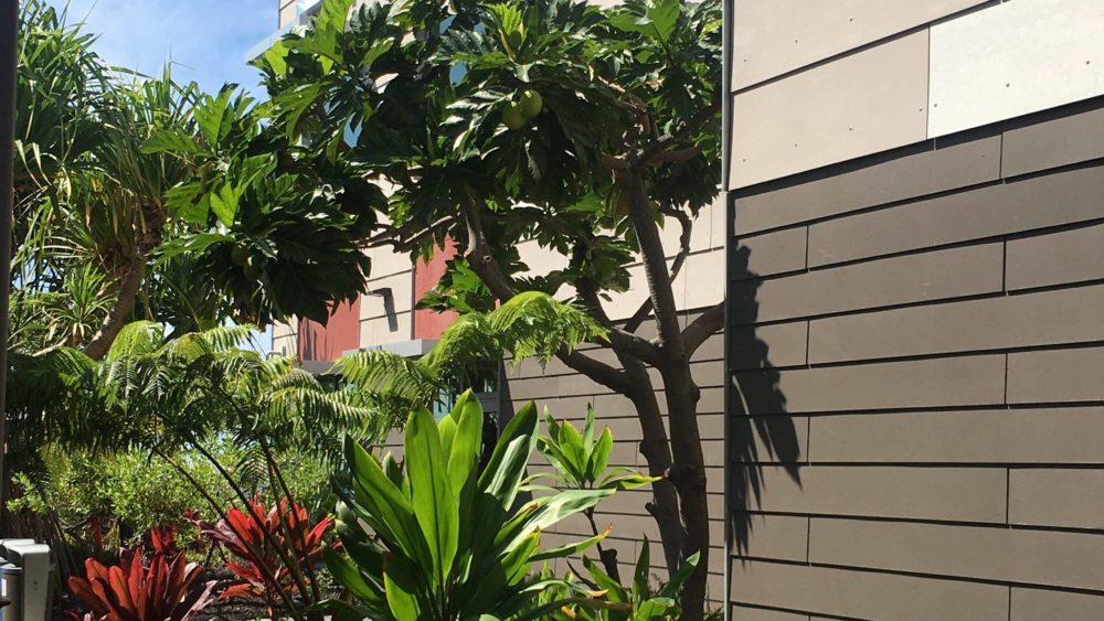 kaiser-kona-jpeg-2