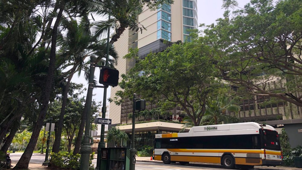 honolulu-bus-ap-photo-jpeg