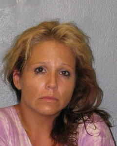 south-kona-woman-financial-crimes-hpd-photo-jpeg