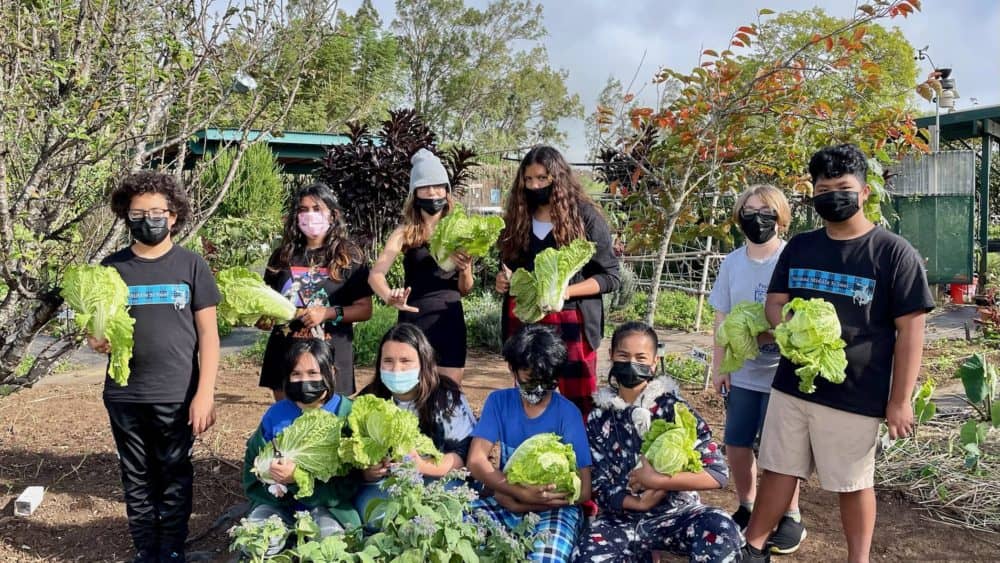 hawaiian-electric-donations-jpeg