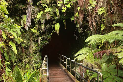 nahuku-thurston-lava-tube-entrance-jpeg