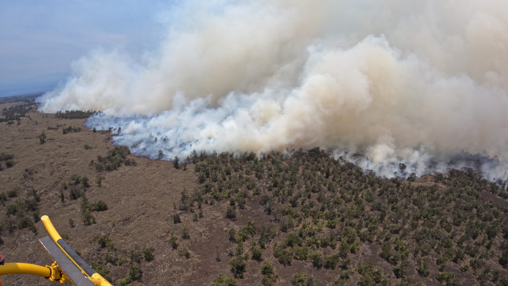 pta-fire-dlnr-photo-jpeg-6