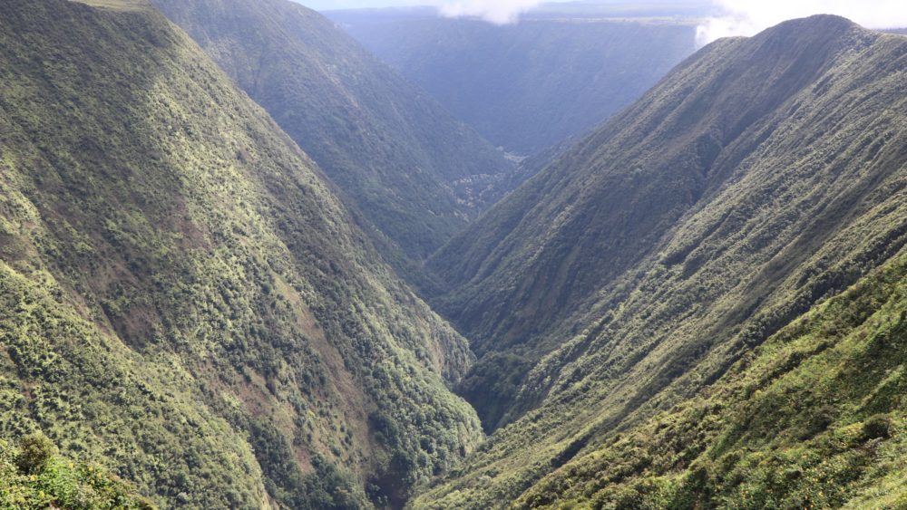 kohala-mountain-watershed-dlnr-jpeg-2