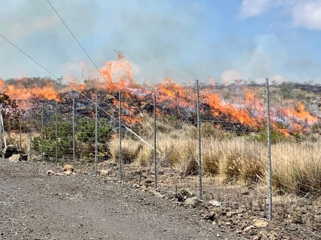 pta-wildfire-jpeg-5