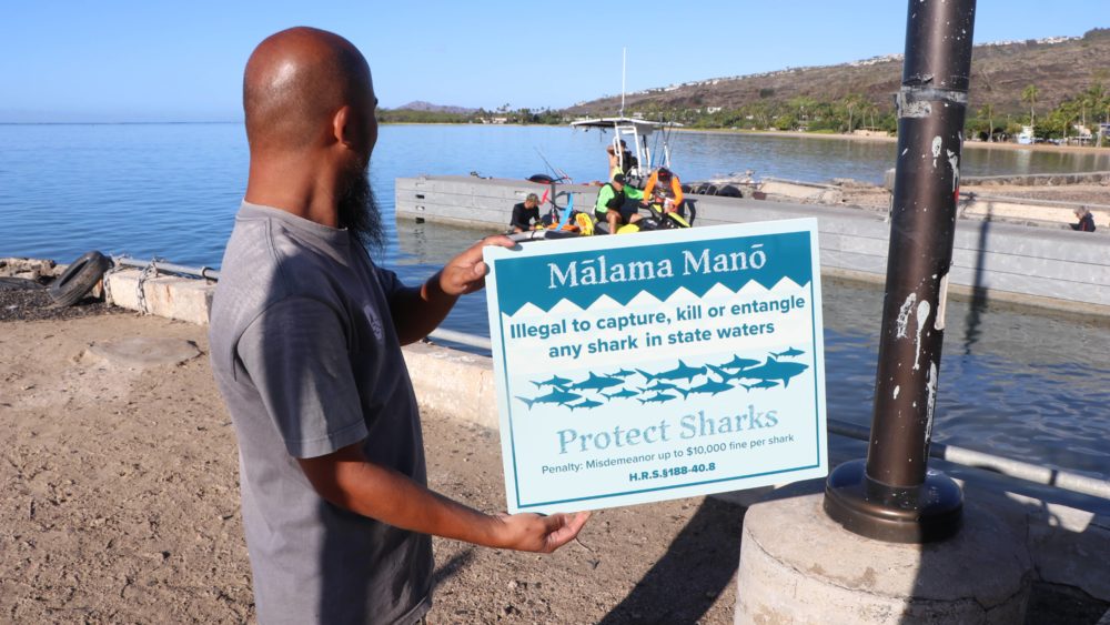 shark-signs-dlnr-photo-jpeg