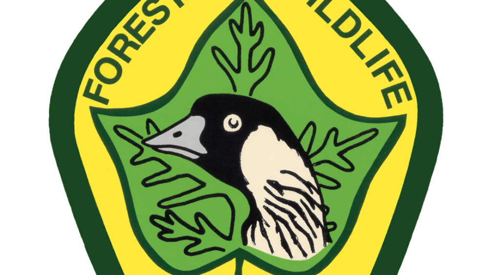 dofaw-logo-color-large-1080p-1000x563-1-png-7