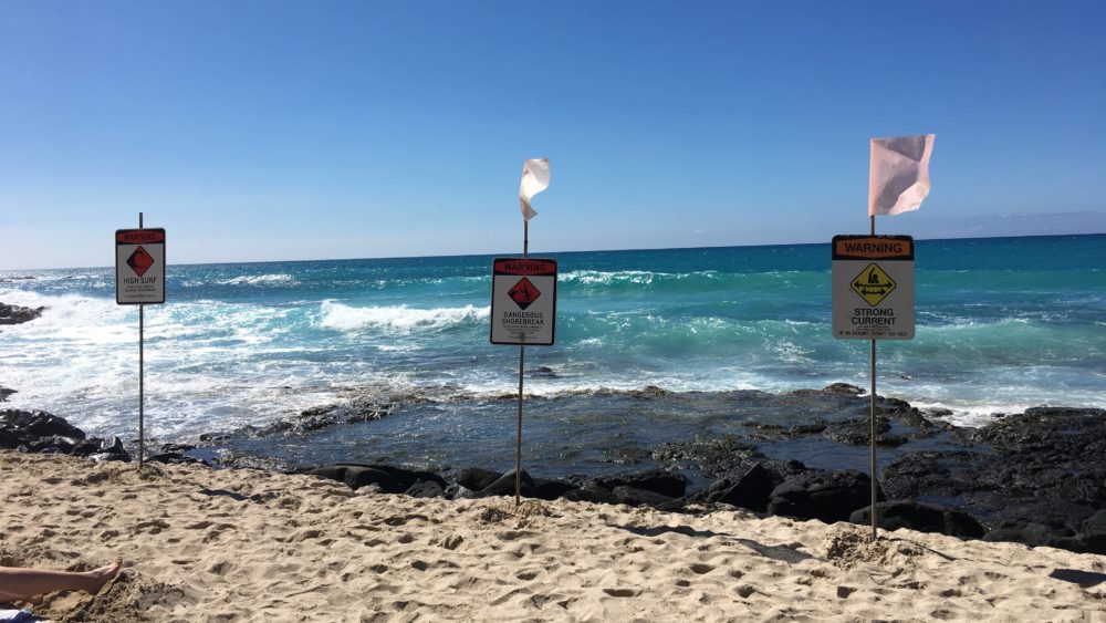 high-surf-signs-jpeg-3
