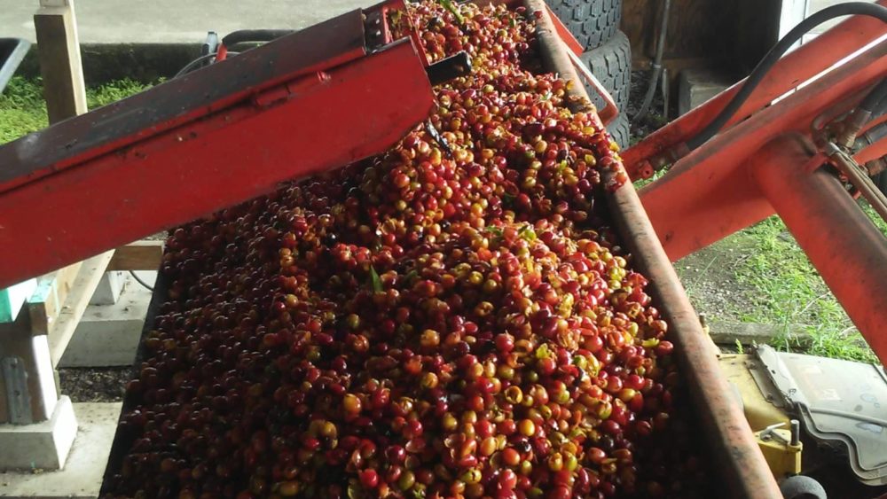 cherry-tractor-pic-jpeg-2