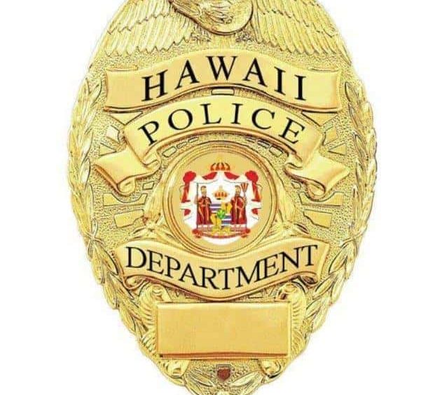 thumbnail_hpd-badge-gold-jpg-326