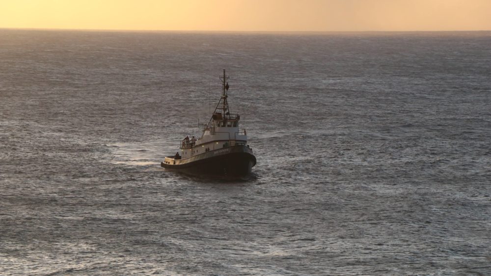 nakoa-salvage-dlnr-jpeg-2