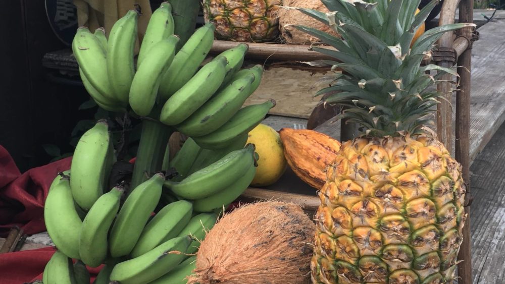 tropical-fruit-jpeg-4