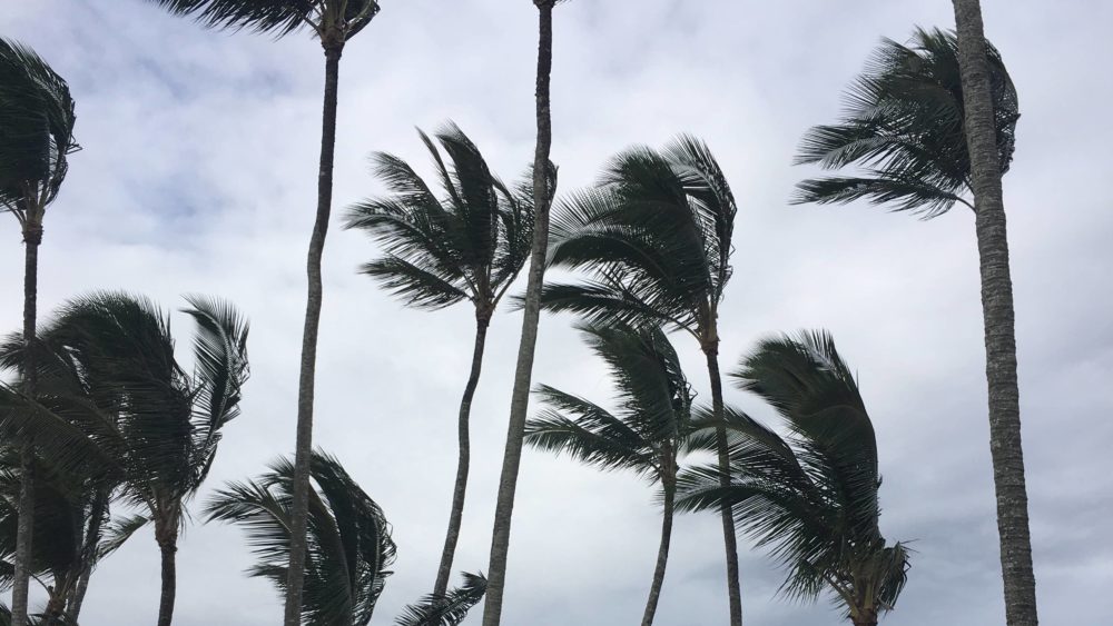 big-island-wind-jpeg-4