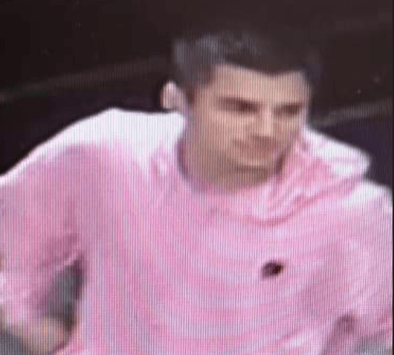 keaau-theft-suspect-hpd-photo-png