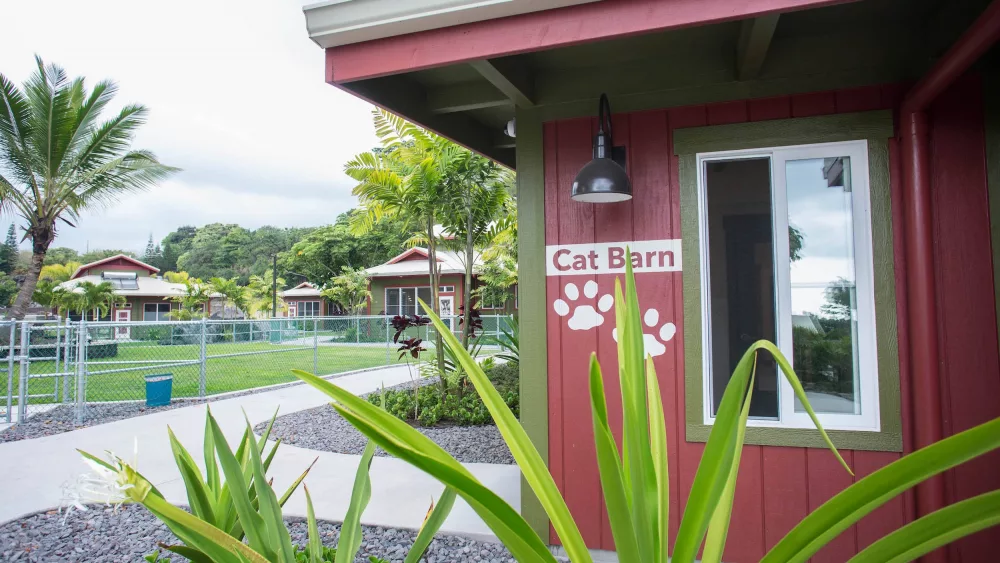 hawai%ca%bbi-island-humane-society-jpg-5
