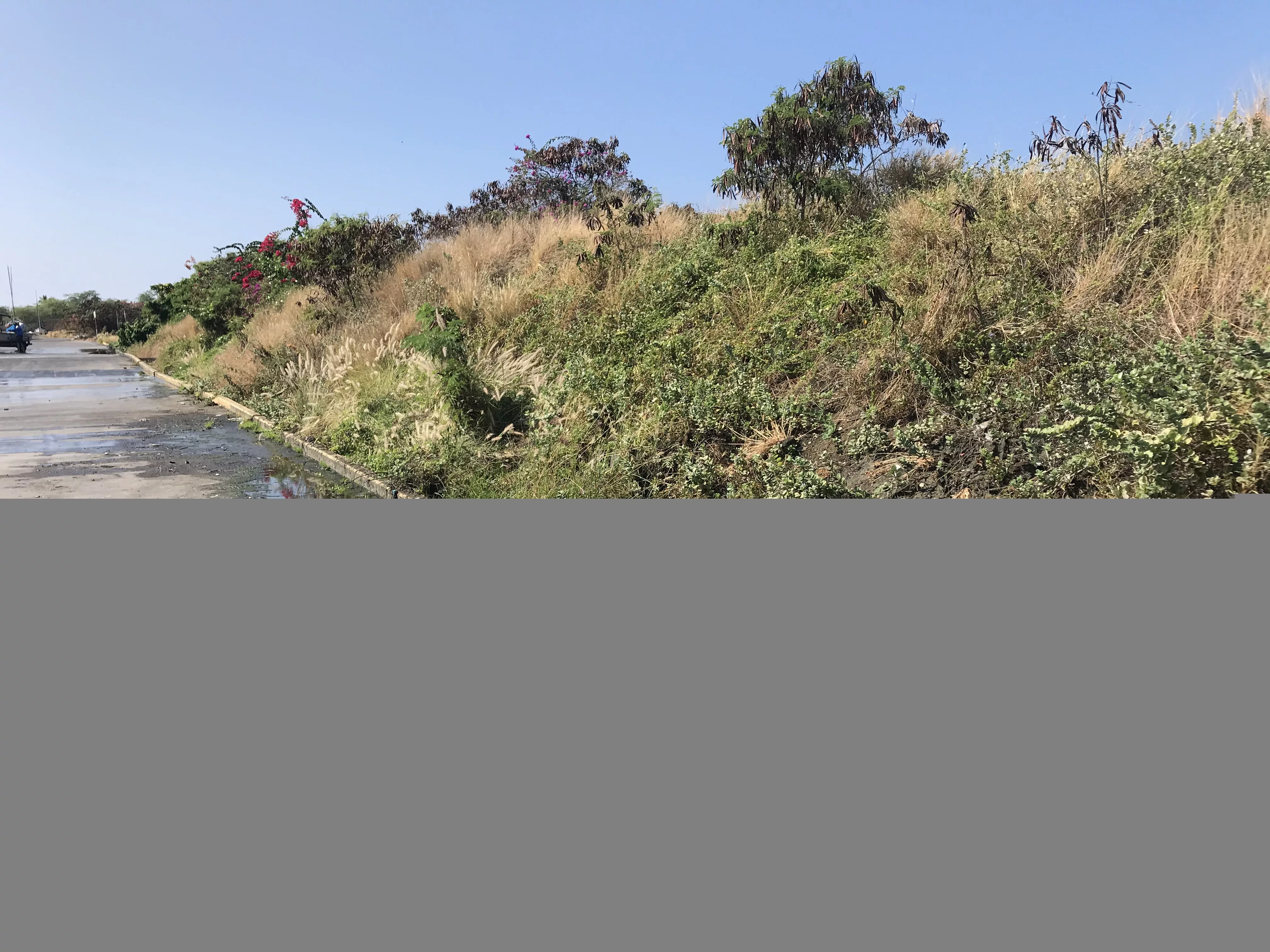 honokohau-small-boat-harbor-dlnr-photo-jpg-2