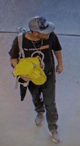 kona-pcv-investigation-hpd-photo-png-3