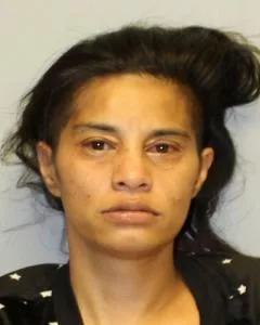 shareenmarie-custodial-interference-hpd-photo-jpeg-3