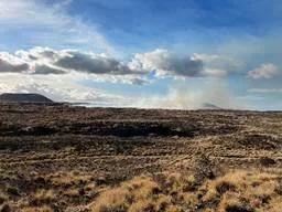 pta-brush-fire-jpg