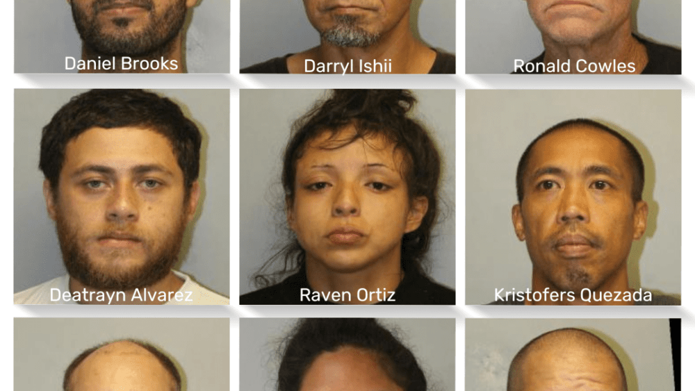 november-2023-big-island-warrant-sweep-hpd-photo-png-3