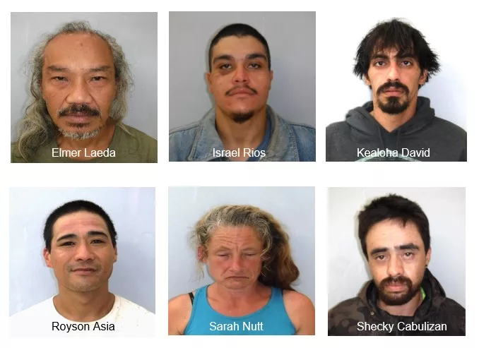 dec-2023-hamakua-warrant-sweep-hpd-photo-jpeg-3