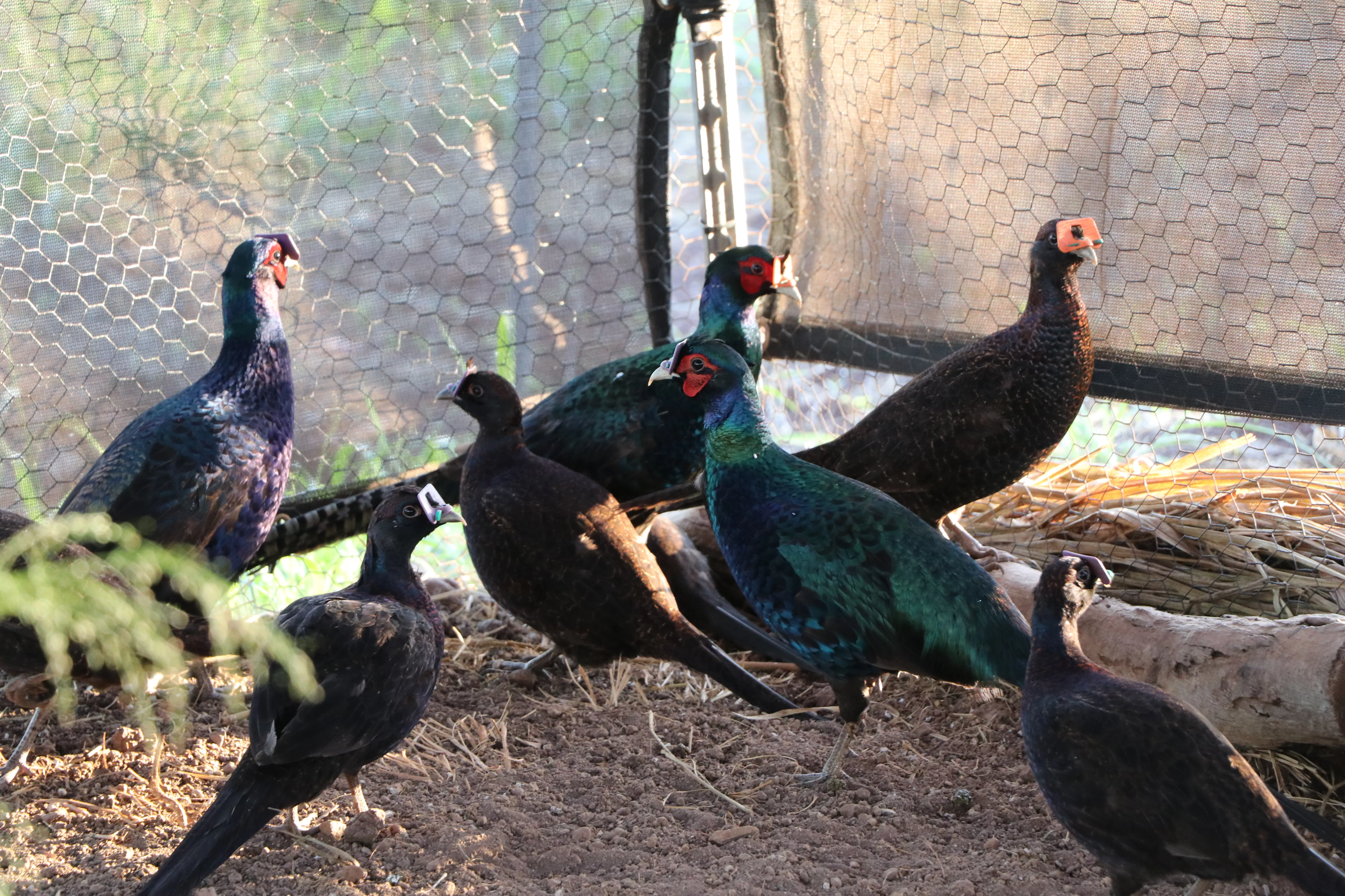 stamp-contest-dlnr-photo-jpeg-2