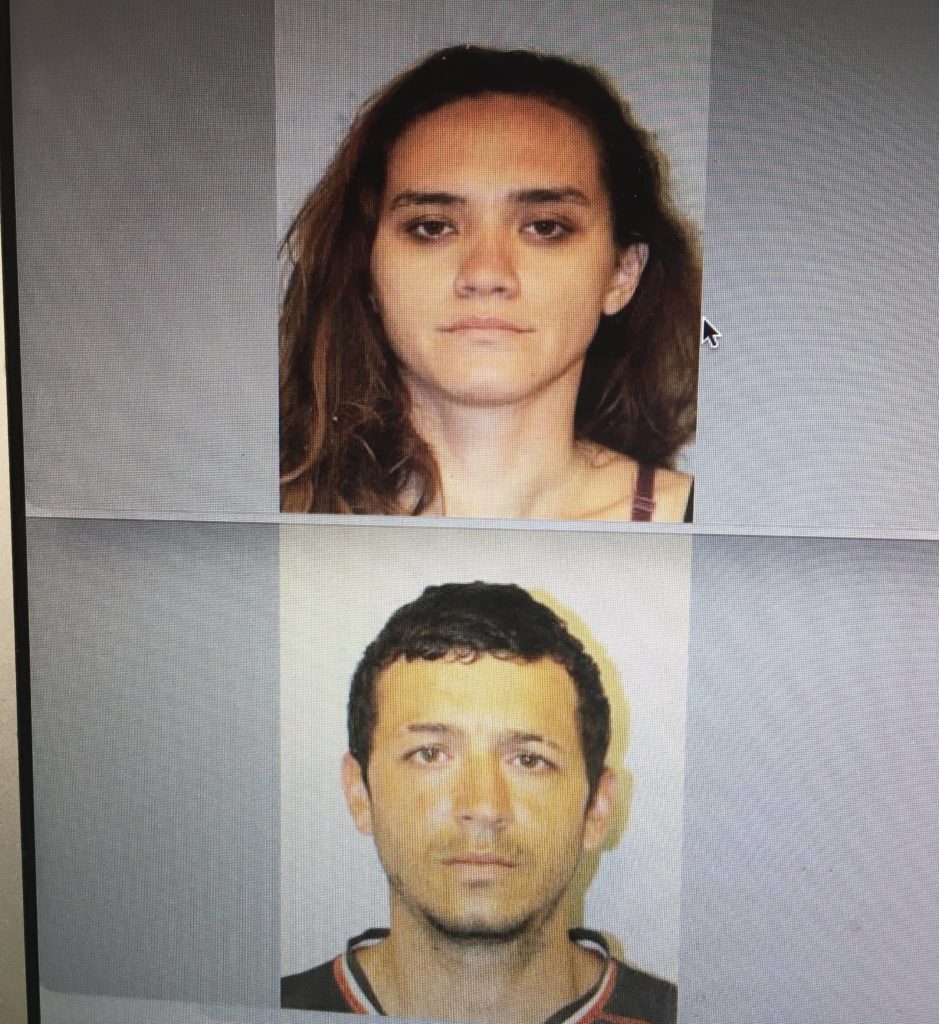 Kona Woman Arrested and Charged for Burglary and Theft While Police ...
