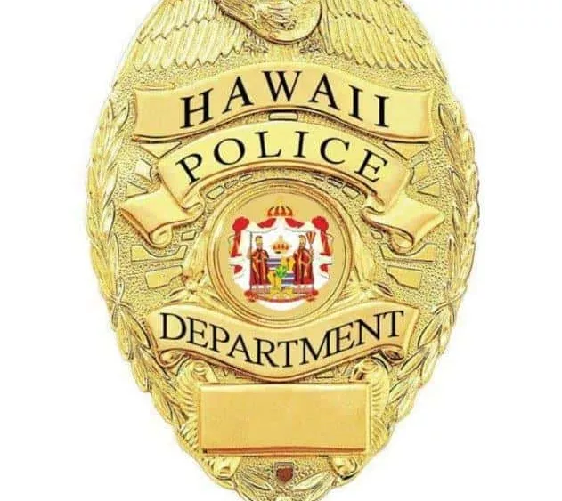thumbnail_hpd-badge-gold-jpg-724