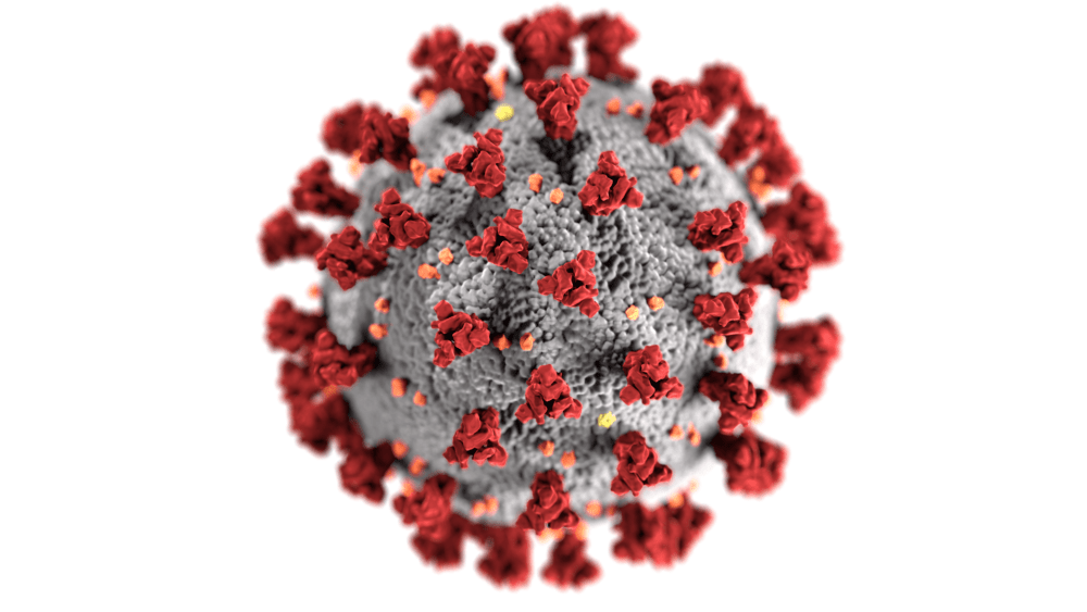 covid-virus-white-back-png-60