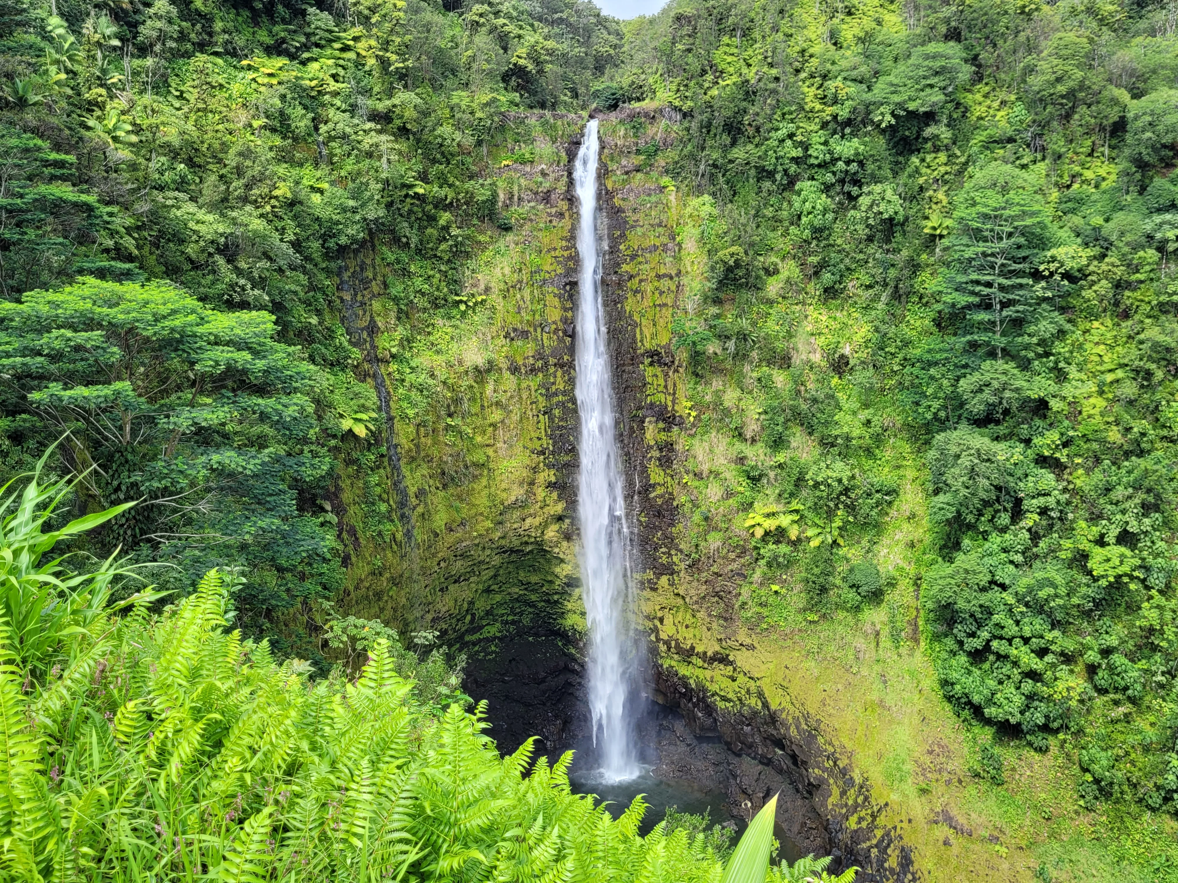 akaka-falls-dlnr-photo-jpg-3