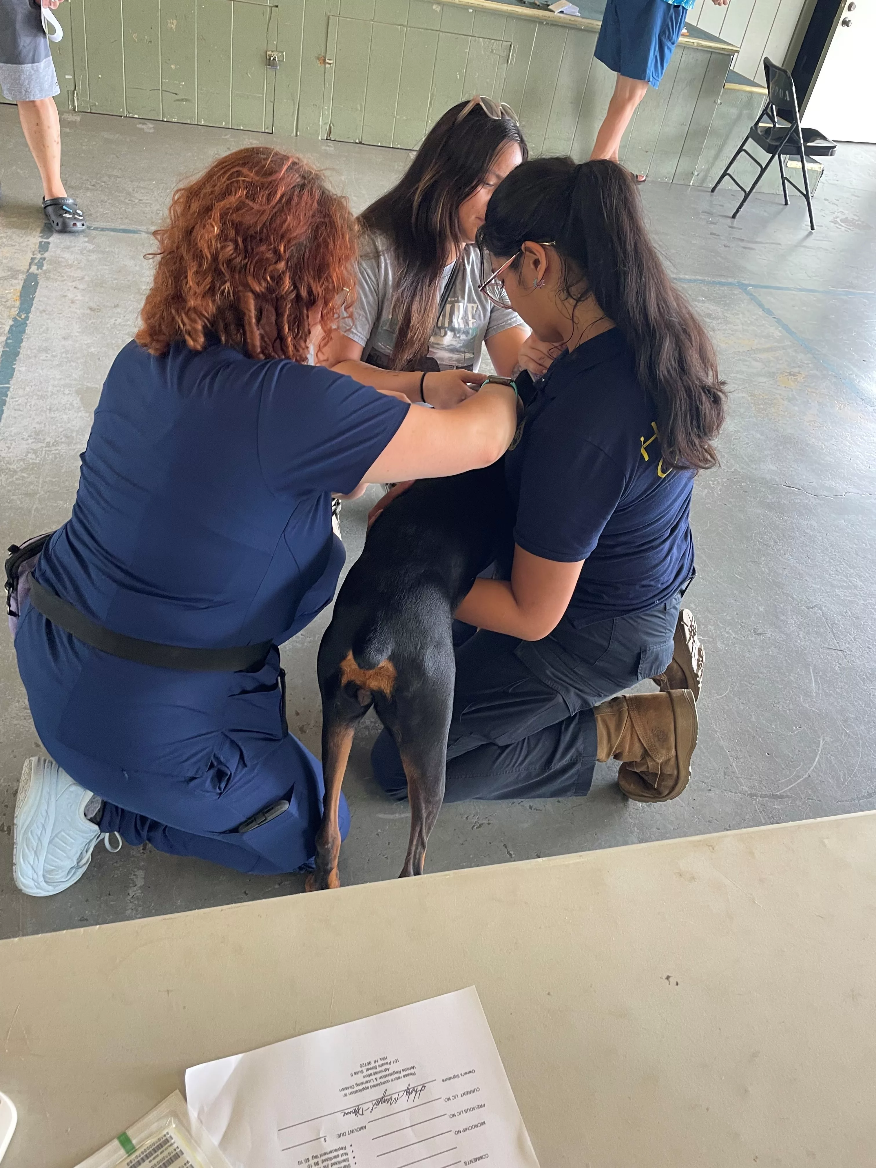 pet-microchipping-event-office-of-mayor-roth-photo-jpg-3