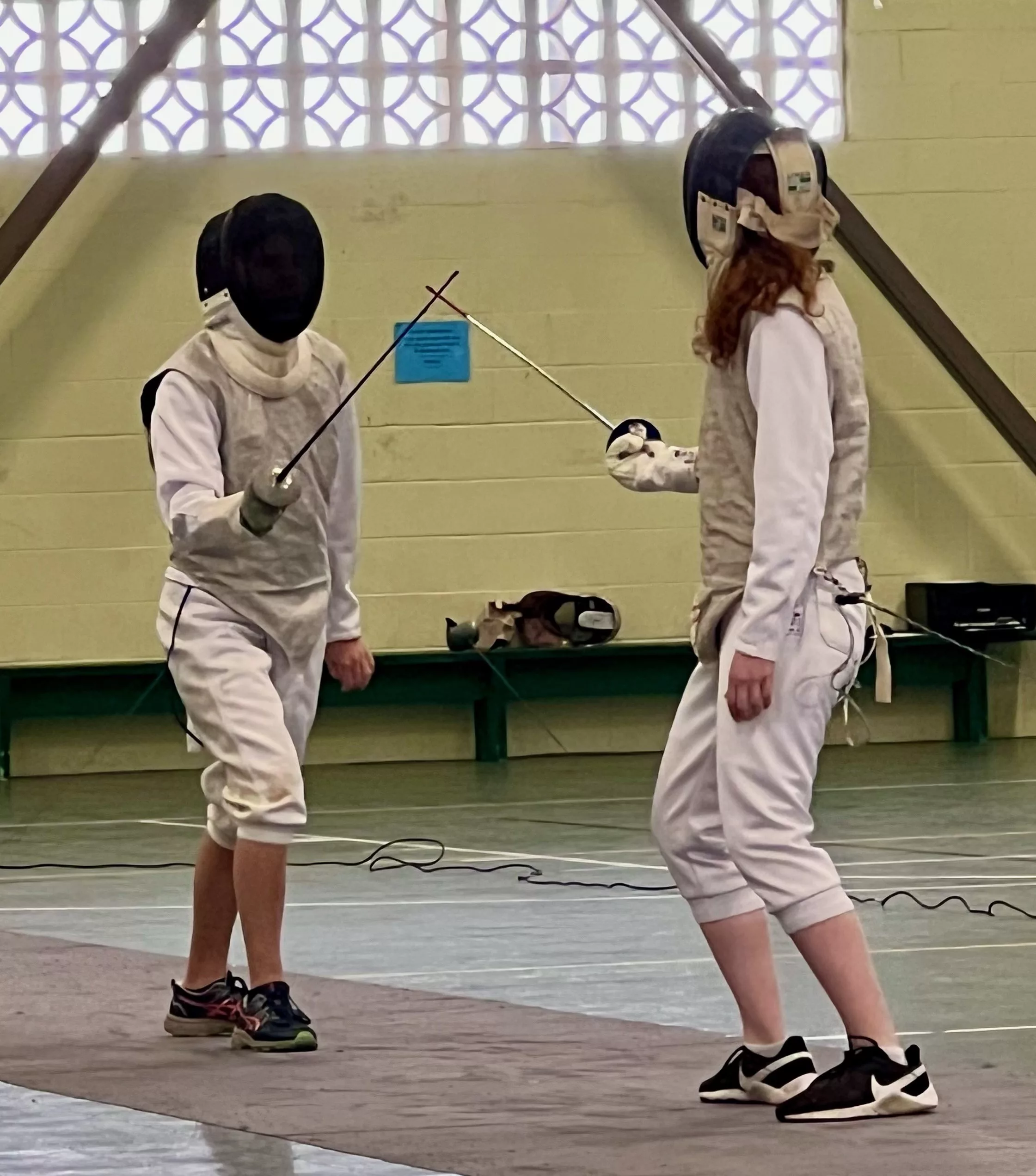 hi-pal-fencing-hpd-photo-jpeg-3