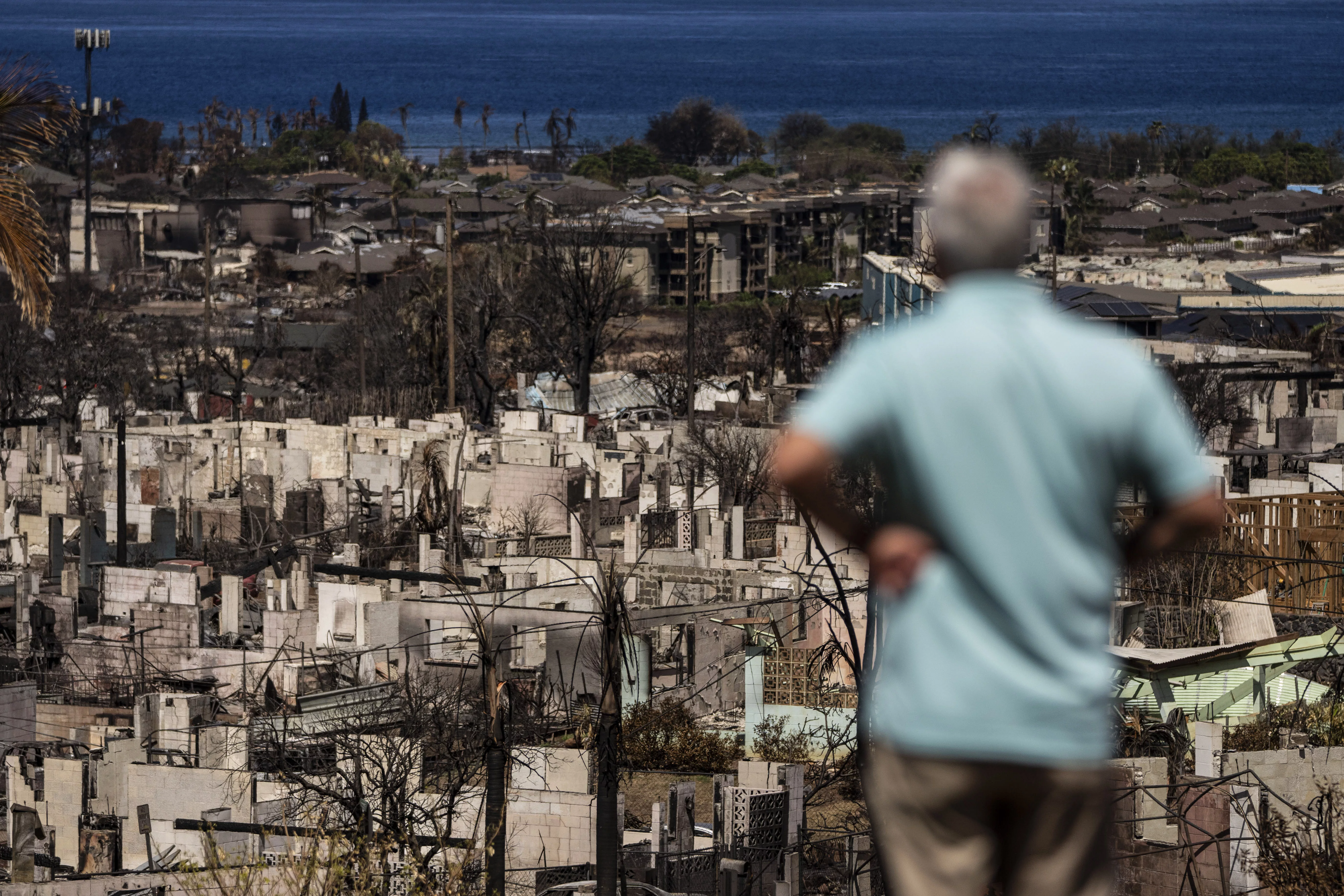 maui-resident-post-fire-ap-jpg-13