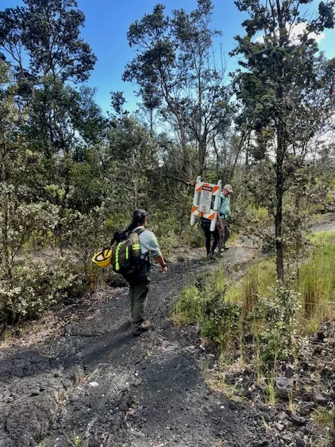 havo_20240929_park-staff-carry-on-napau_trail_m-gallegos-jpeg-3