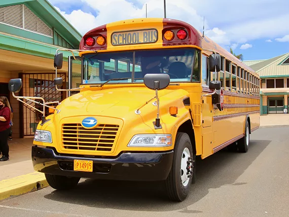 school-bus-doe-photo-jpeg-13