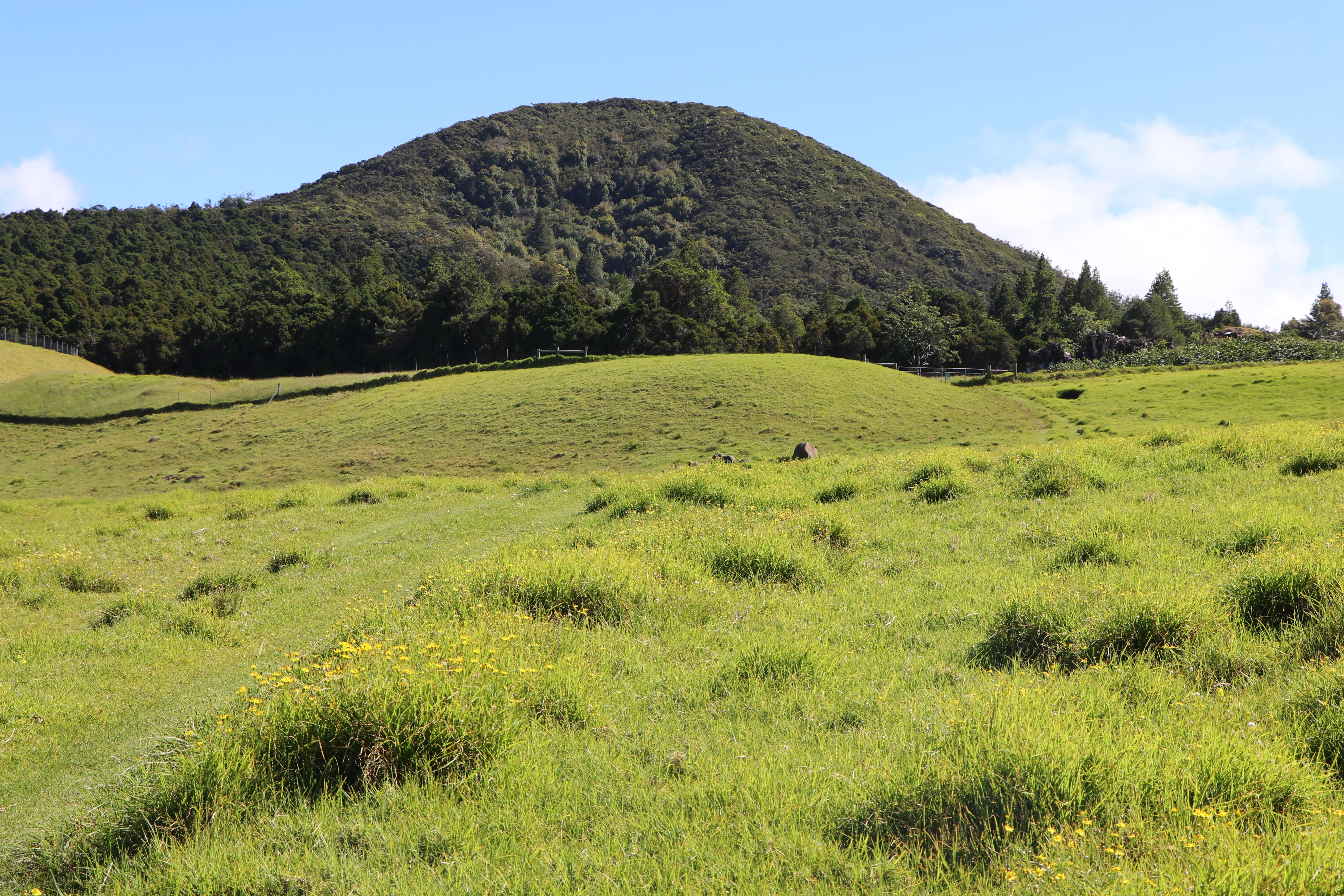 parker-ranch-pasture-dlnr-photo-jpg-3