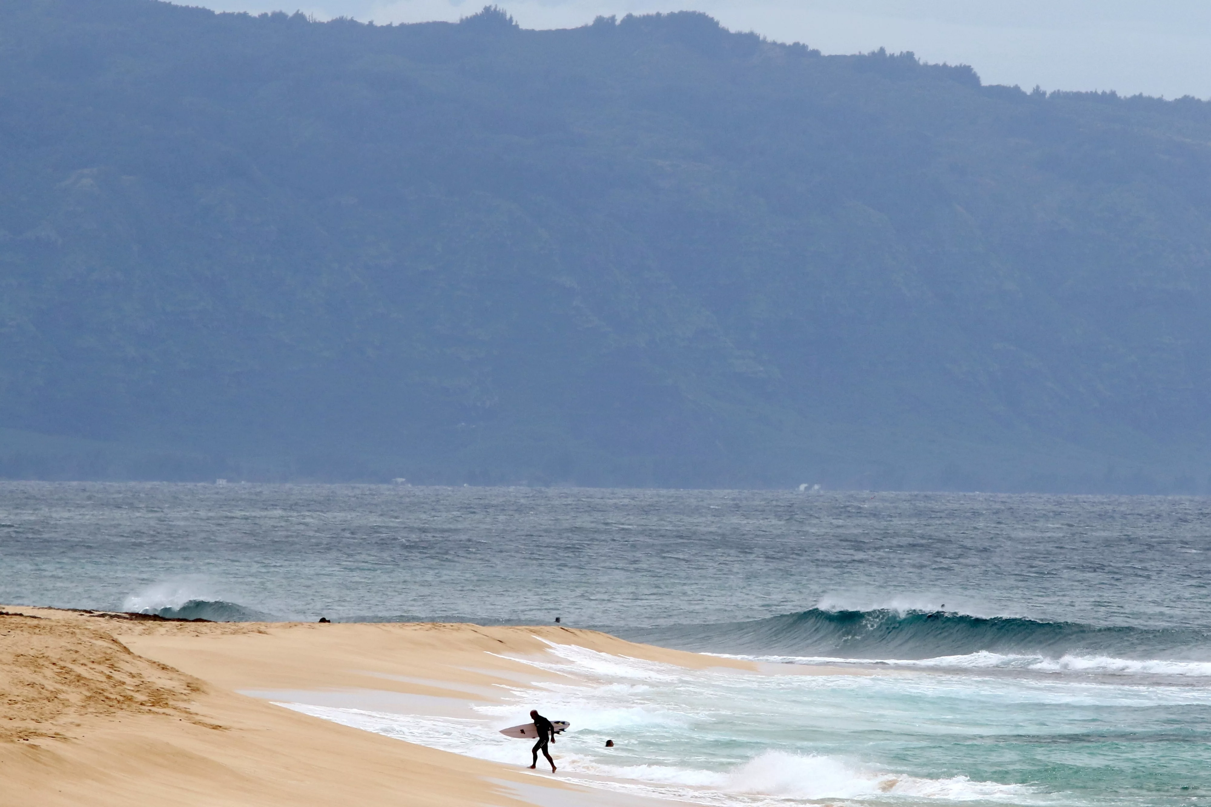 maui-shark-attach-photo-ap-photo-jpg-3