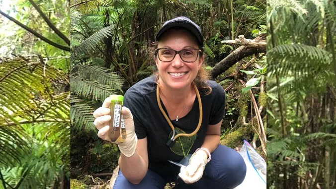 uh-hilo-invasive-species-graham-jpg-4