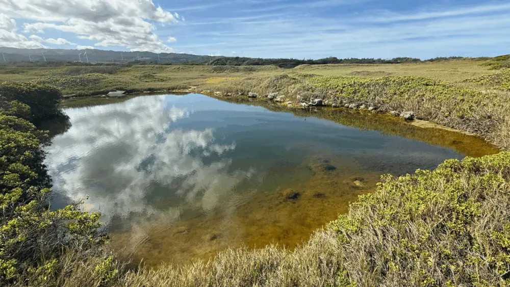 kukio-dlnr-photo-png-png-3