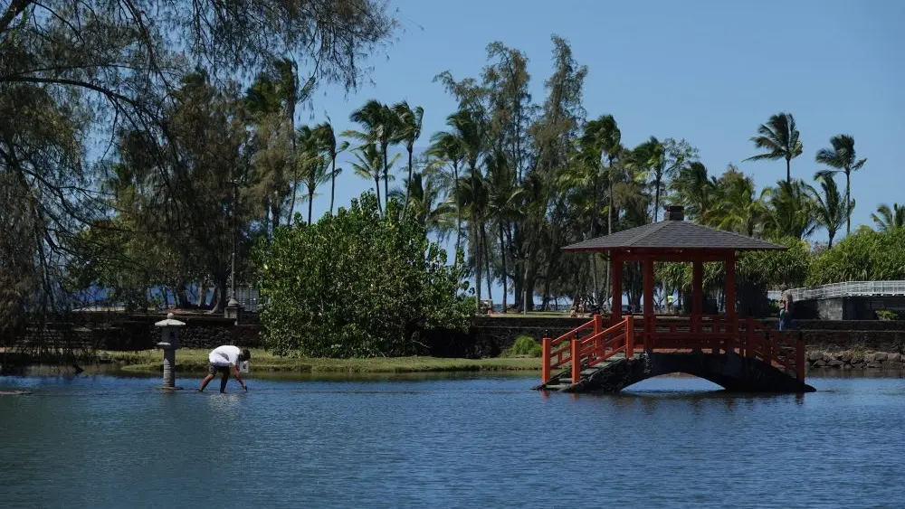 liliokulani-bridge-hawaii-county-photo-jpg-3