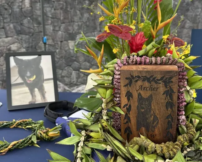 k9-archer-memorial-hpd-photo-jpeg-3