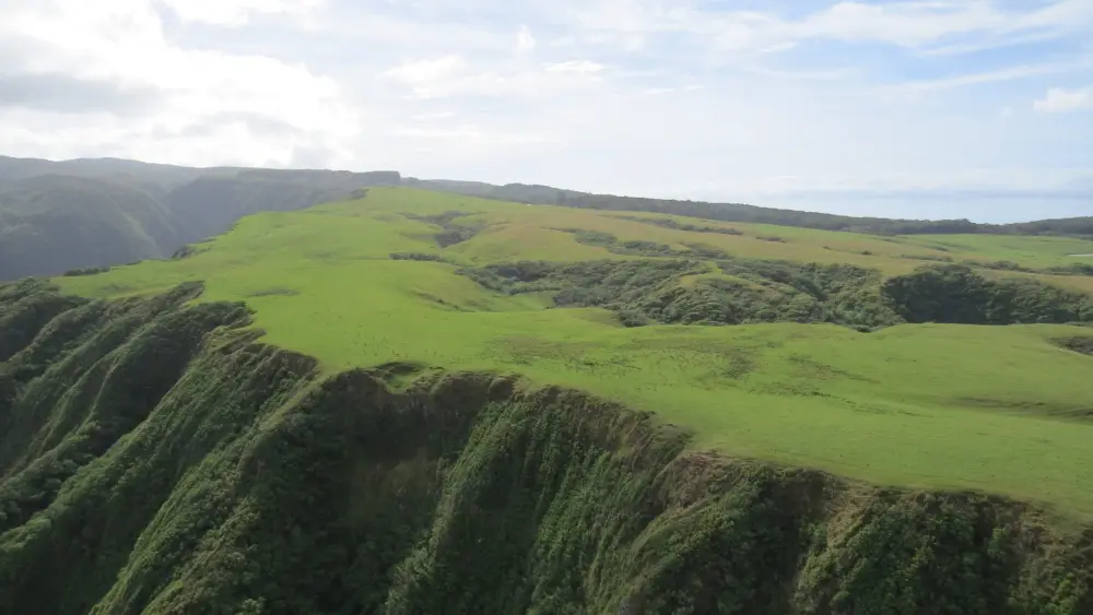 axis-deer-on-private-land-molokai-north-shore-jpg-8