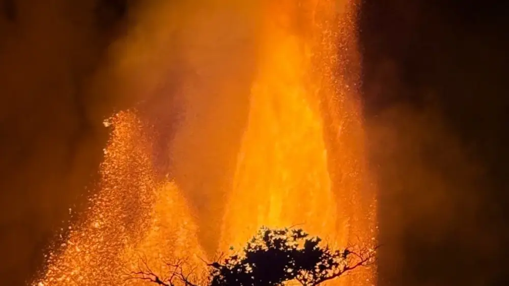 thumbnail_43b9d52d-7b18-4751-98d3-e3e38e703a34-jpg