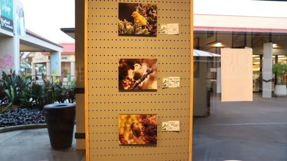 kauai-art-exhbiti-dlnr-photo-jpg