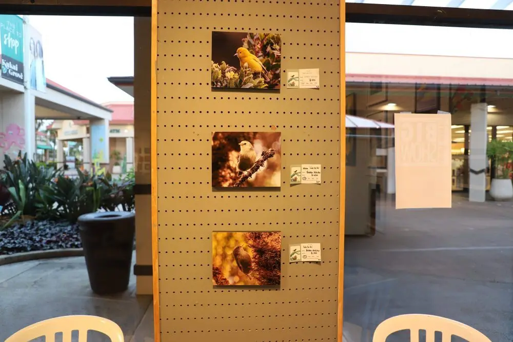 kauai-art-exhbiti-dlnr-photo-jpg