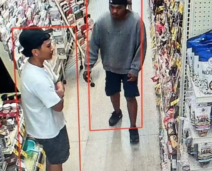 hilo-theft-persons-of-interest-hpd-photo-jpg-3